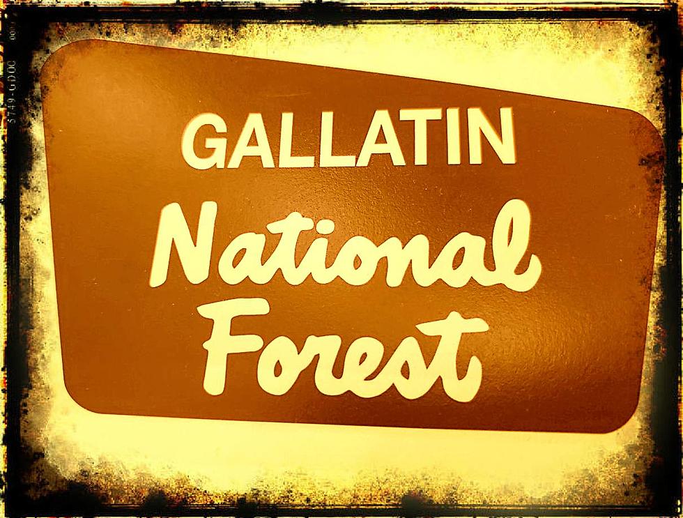 Delayed Forest Pile Burning Underway in Custer Gallatin National Forest