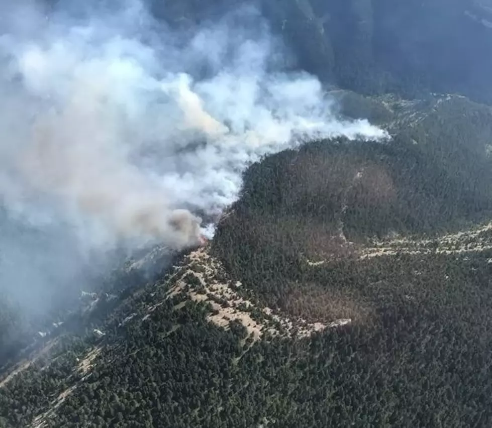 New Wildfire in Montana’s Little Belt Mountains