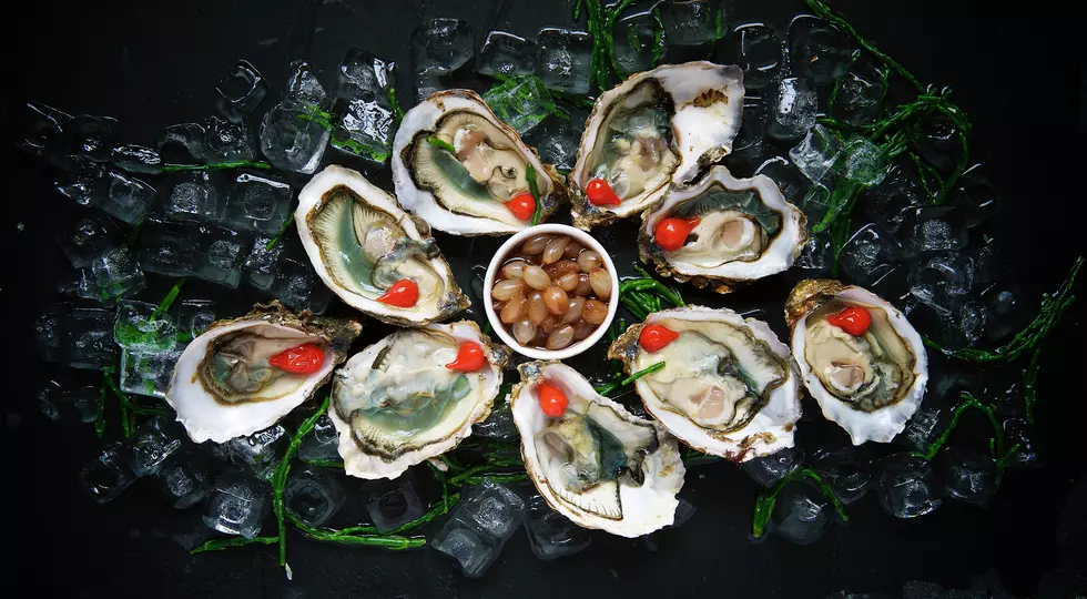 Montana’s Top 7 Restaurants With Oysters On The Menu