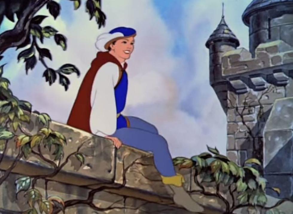 Is Disney Planning 2015 Movie With Gay Princes?