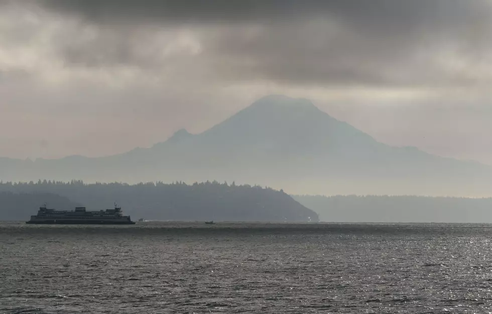 It’s Humpback Whale Watching Season in the Puget Sound!