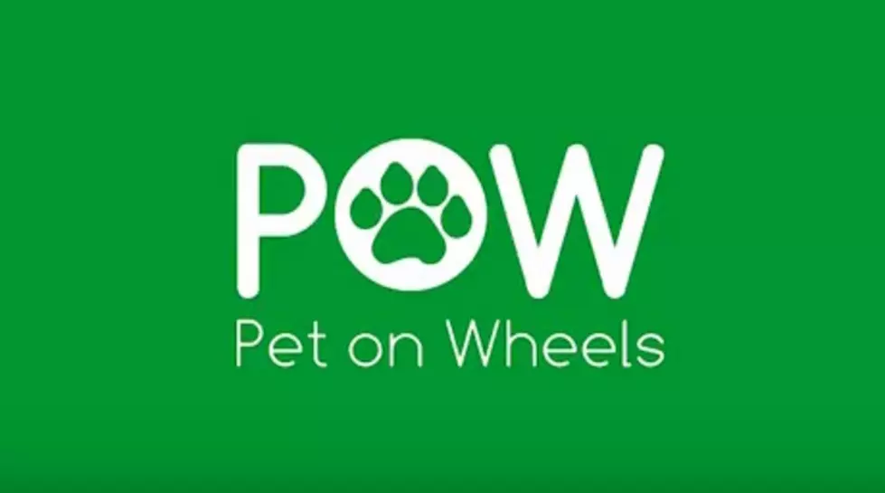 Watch This Must See Video For All Pet Owners! [VIDEO]