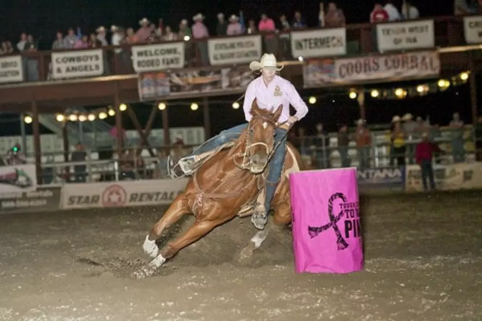 What’s Happening at the Benton Franklin Fair & Rodeo Today!