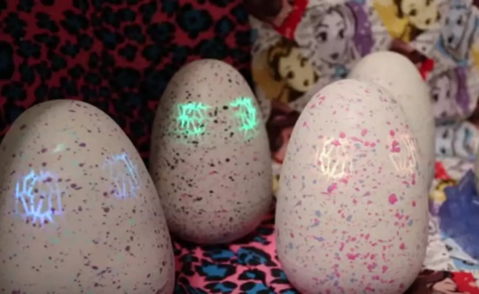 This Year’s Hot Christmas Toy…Hatchimals!