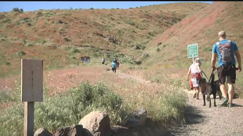 Badger Mountain Stairs Won’t Reopen Until Fall; Find Out Why