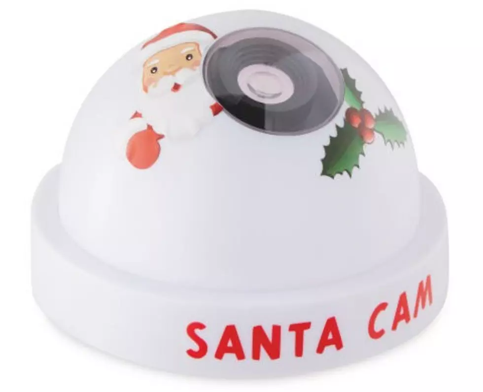 Are Santa Cams Naughty Or Nice? [POLL]