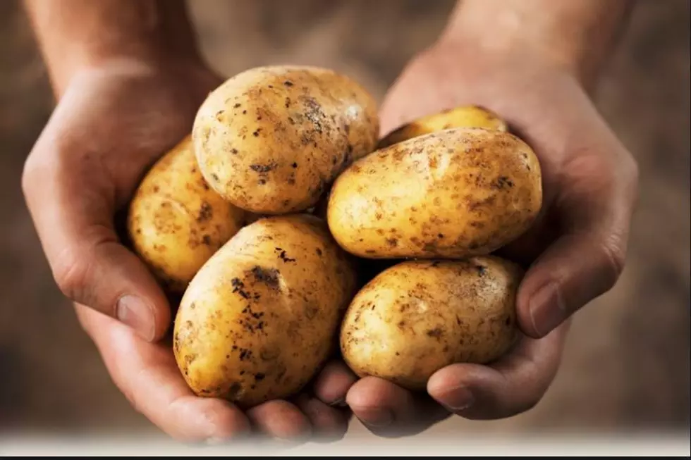 Potato Farmers On a Mission to Give Away 1 Million Pounds of Spuds