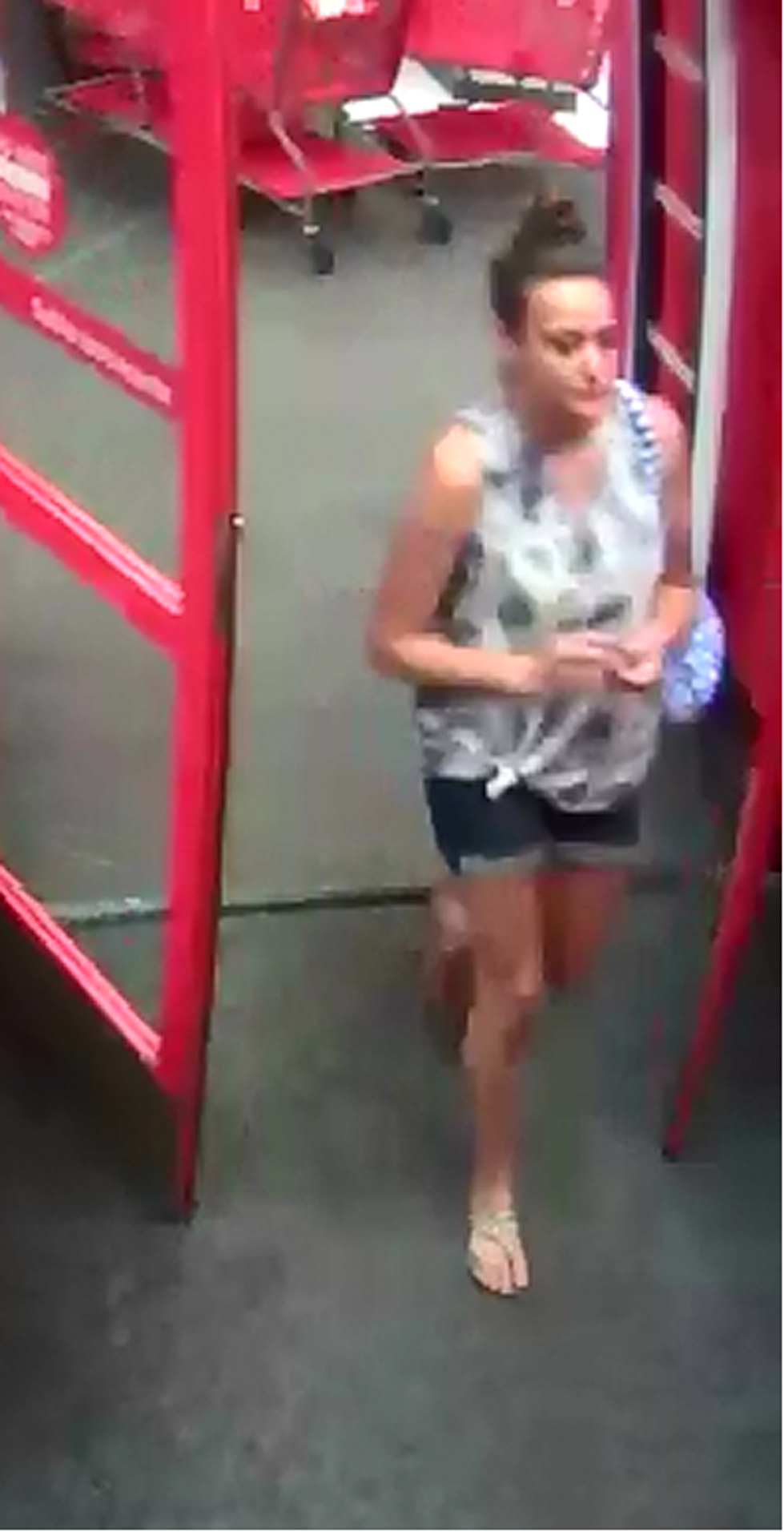 Can You Help Track Down This Shoplifter From Target?