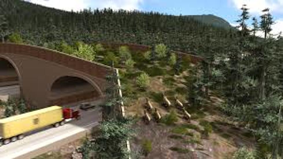 Animal Crossing Bridge Opens Along I-90 and It WORKS!