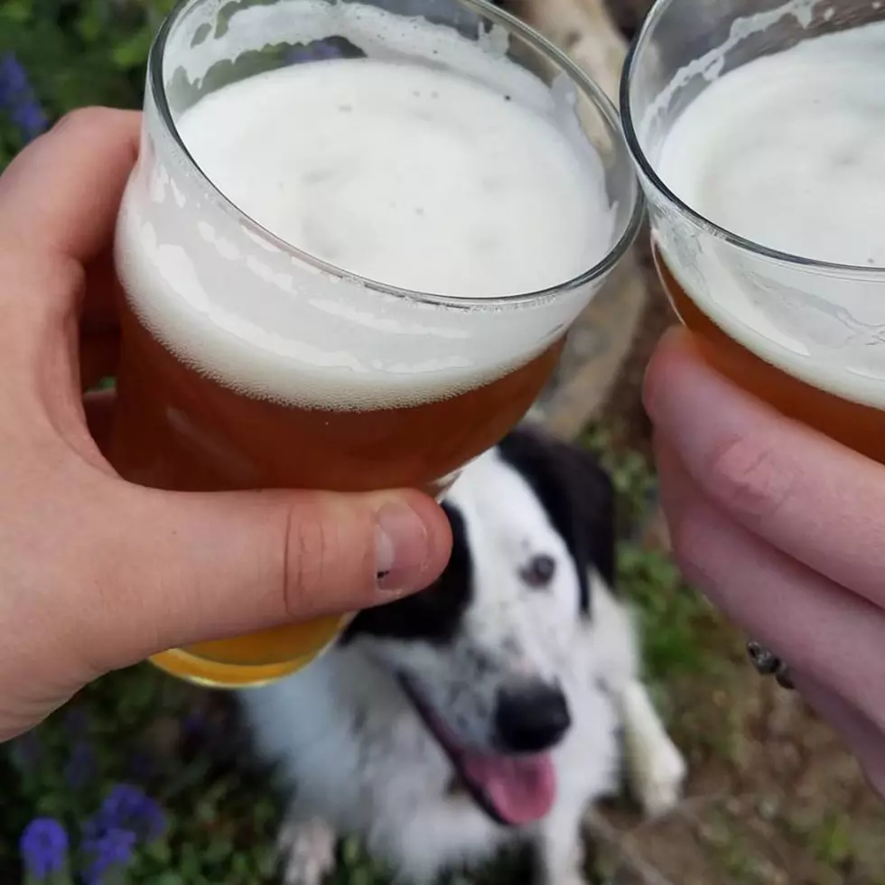New Dog & Kid Friendly Brewery Opening in Kennewick