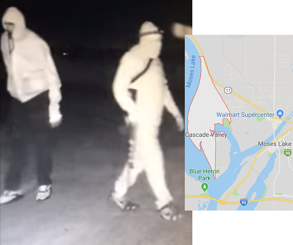 Help ID These Terrifying Home Intruders Near Moses Lake [VIDEO]