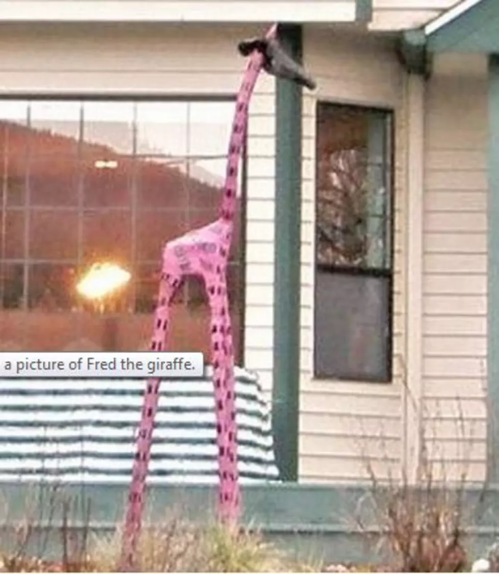 7 Foot Tall Pink Giraffe Missing, Homeowners offer a $500 Reward
