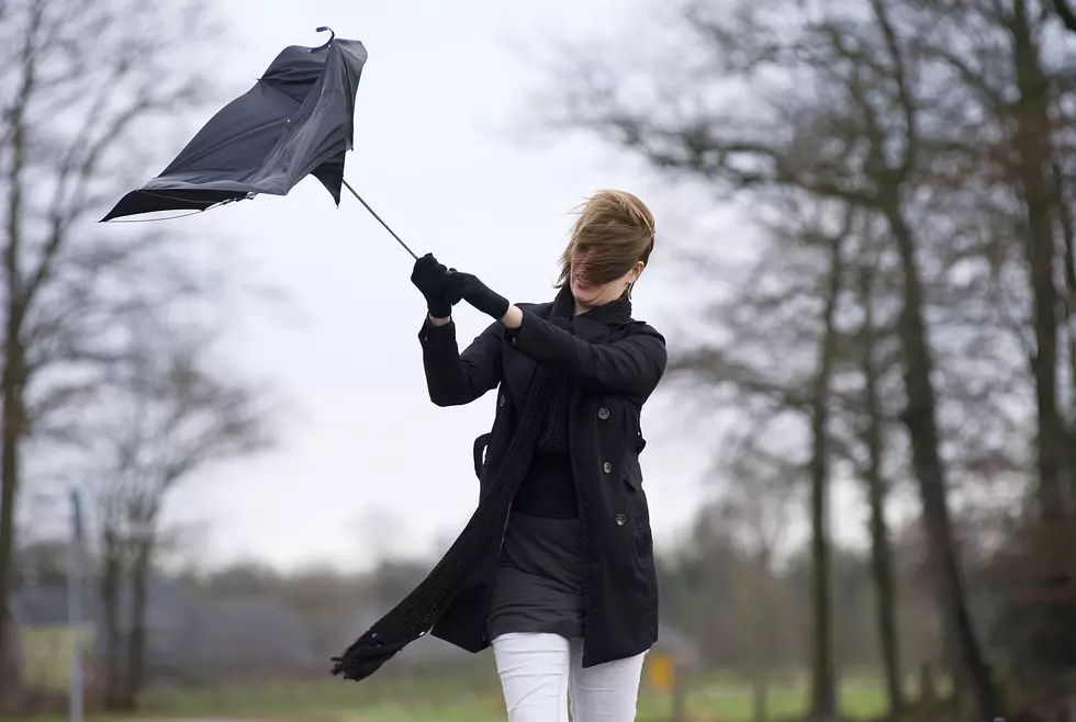 Batten Down The Hatches – Going to Be VERY Windy Today!