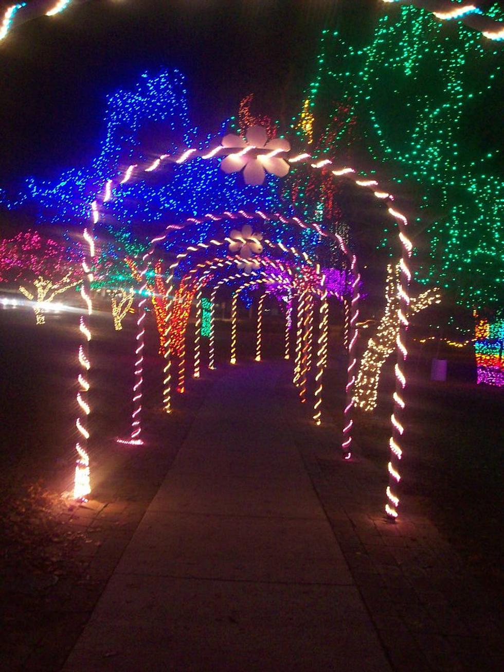 Holiday Locomotive Park Is a Wondrous Tourist Sight to See [VIDEO]