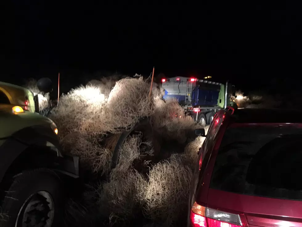 Video Shows Massive Tumbleweeds That Shutdown SR-240 [Video]