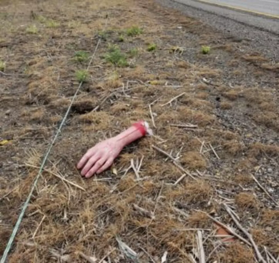 “Severed” Arm Thrown from Car Picked up by WSP
