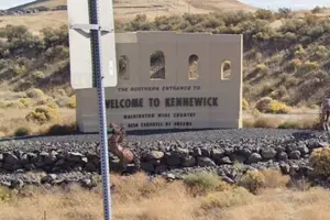 Where&#8217;d The Horses Go? Kennewick Removed Them on Purpose