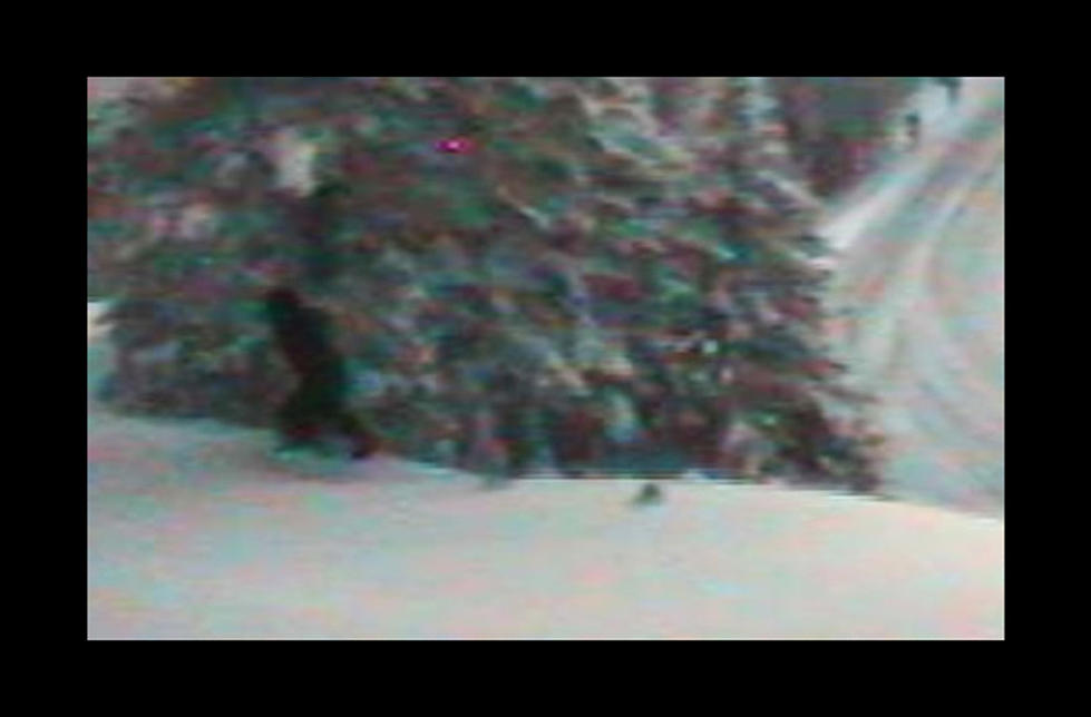 Sasquatch Spotted on WSDOT’s Webcam @ Sherman Pass & SR 20