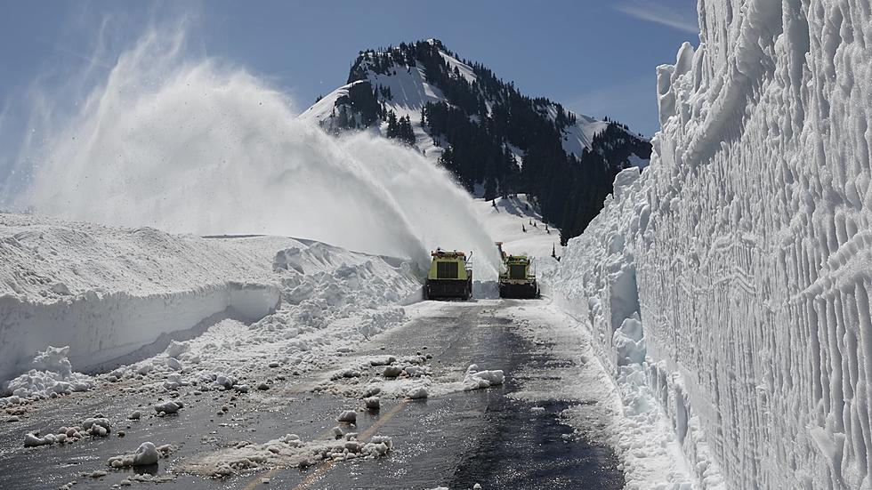 Chinook and Cayuse Passes Are Scheduled To Open on Memorial Weekend [PHOTOS]