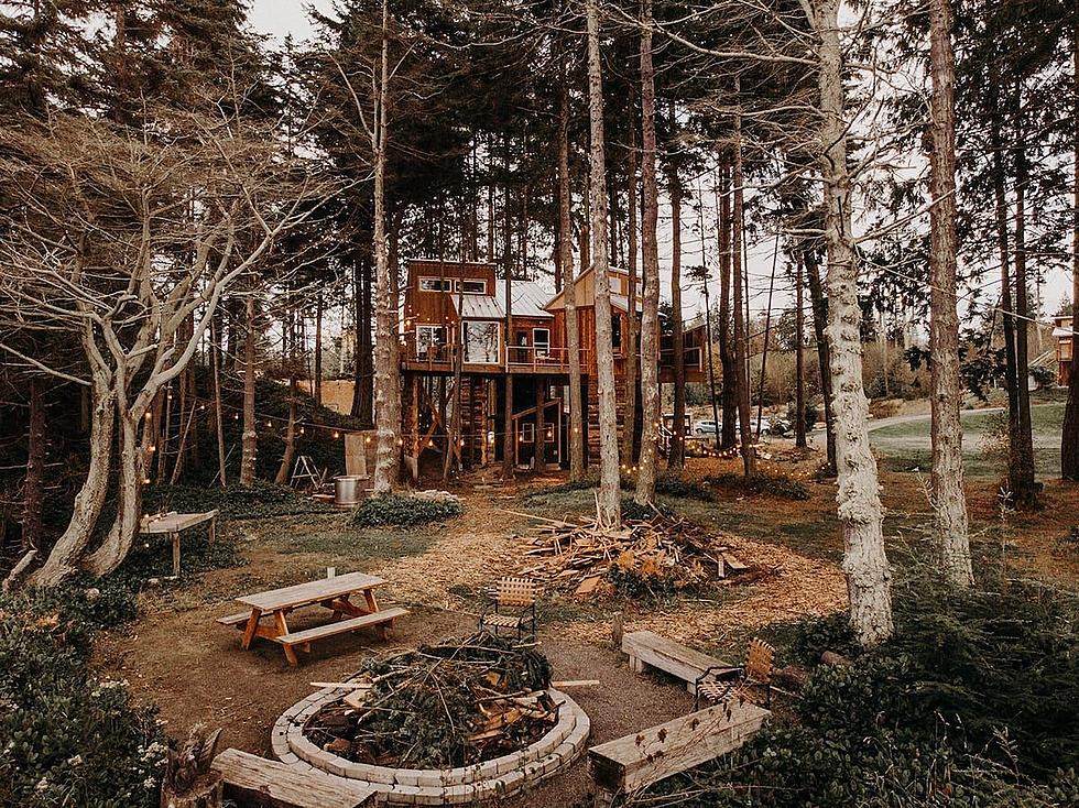 Cool Port Angeles Tree House is a Must Stay for Adventure Seekers