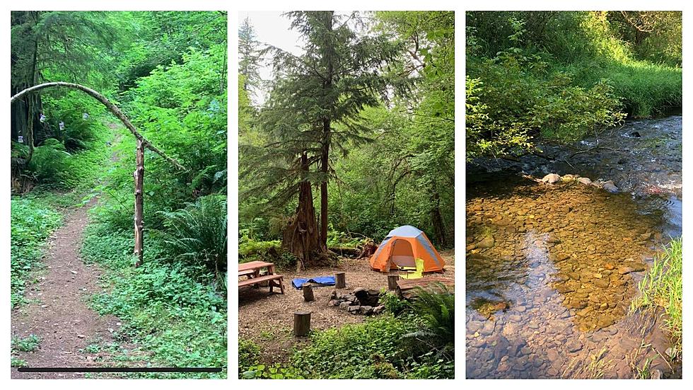 Breathtaking Washington Campsite Is Voted Best Tent Site To Visit in 2022