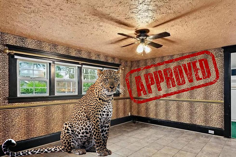 Love Leopards? Million Dollar Portland Oregon Home Is Cat’s Meow