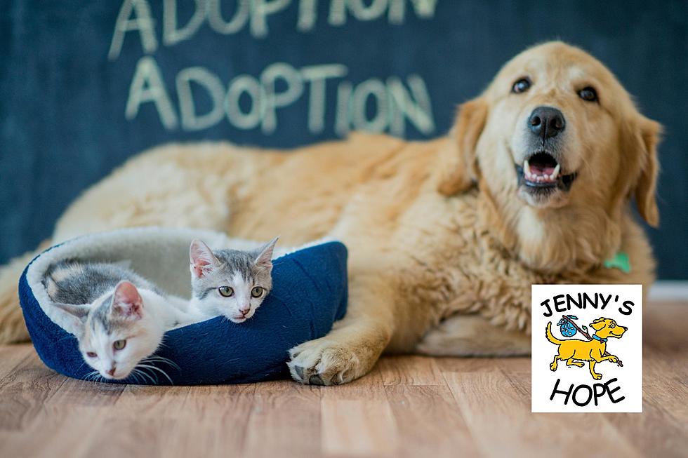 Jenny’s Hope Super Pet Adoption Event Returns to Columbia Park on 4/30