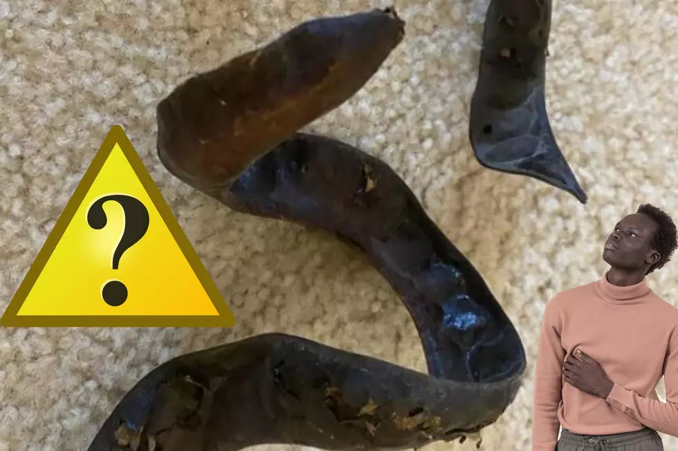 OMG! I Found These Ugly Things In the Yard, What Are They? [VIDEO]