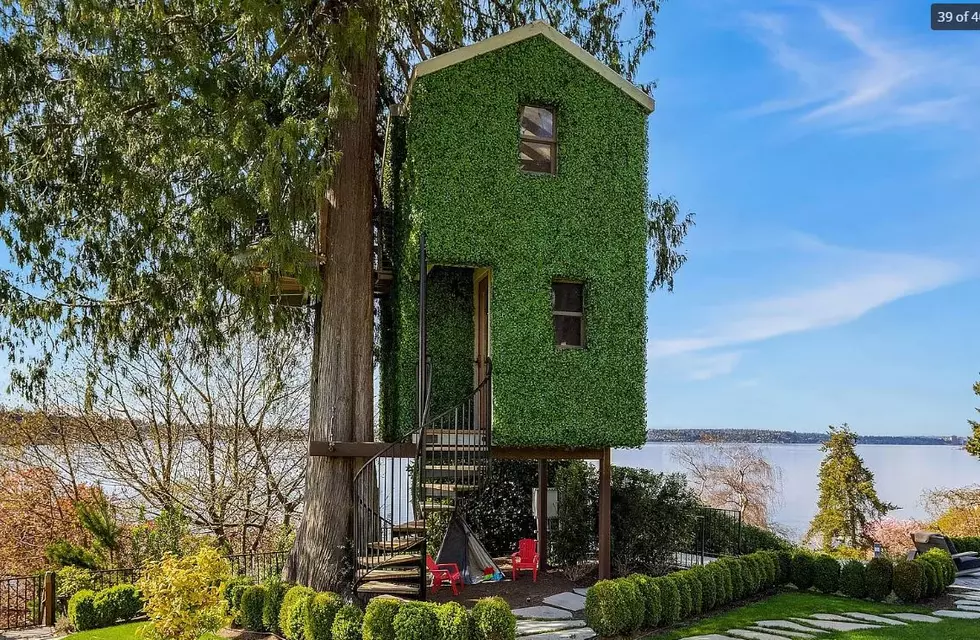 Does Unbelievable Treehouse Make This Washington Home Worth $28 Million?
