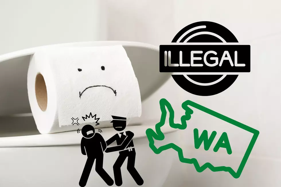 You Won’t Believe What Kind of Toilet Is Illegal in Washington State