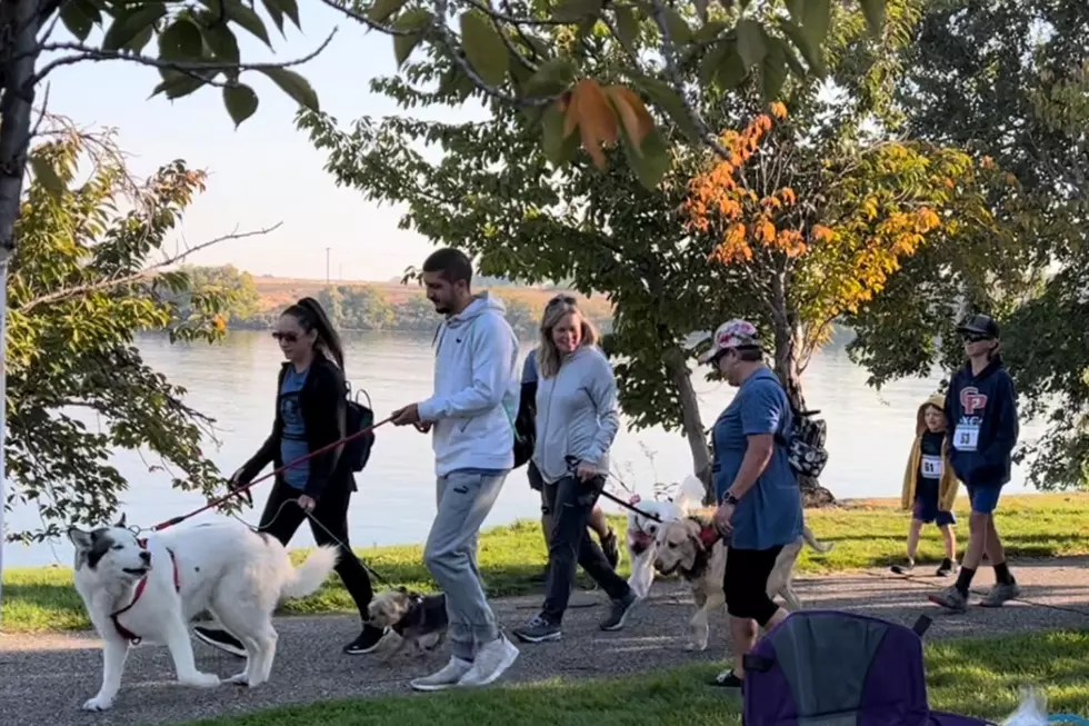 Pooch And Pal Walk in Richland Raises Funds For POPP