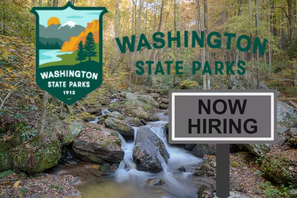 Need a Job? Snag One of These Unbelievable Opportunities in WA...