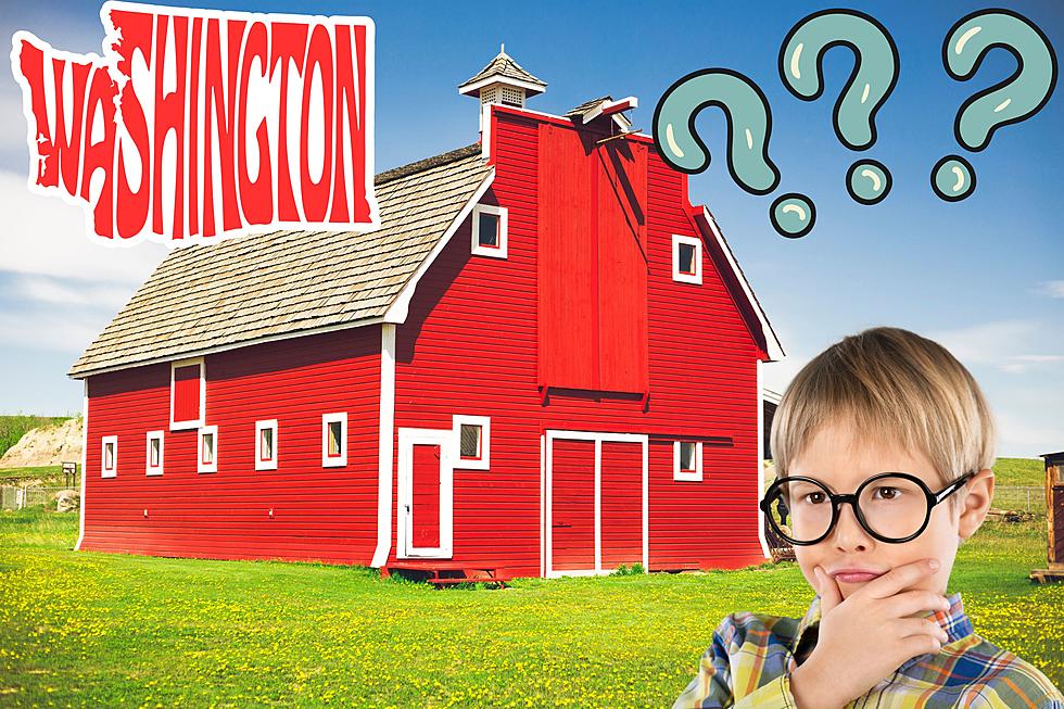 The Mystery of Why Barns Are Painted Red in Washington State