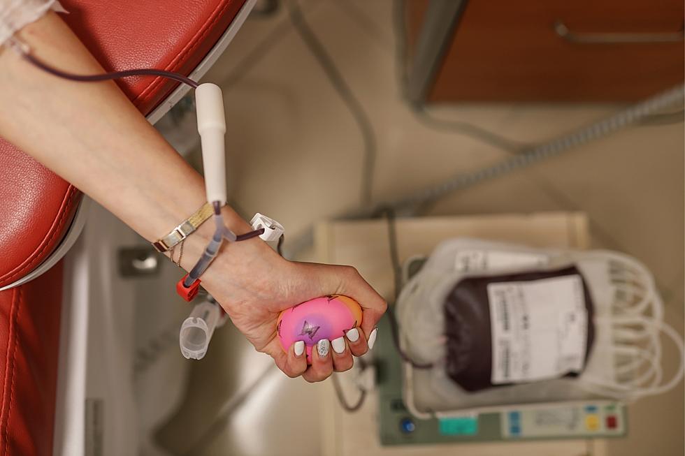 Blood Supply Critically Low in PNW, Can You Donate?