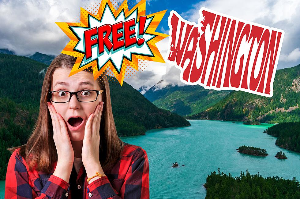 Discovering the #1 Free Attraction in Washington State
