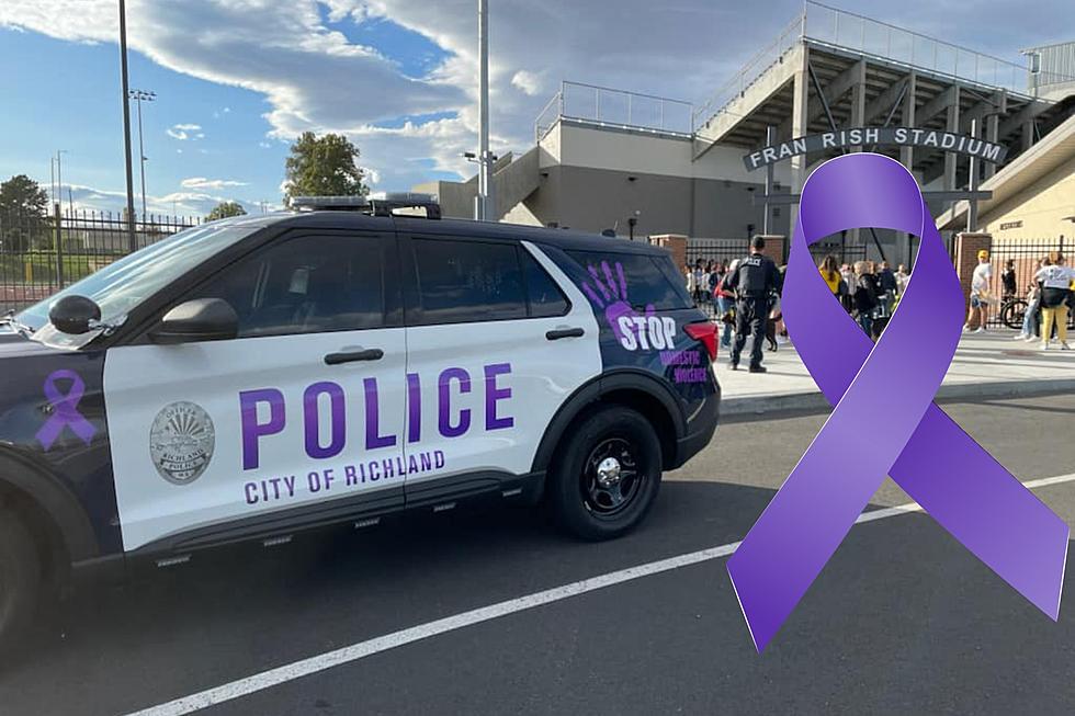 Police Car Wrapped to Bring Awareness of Domestic Violence