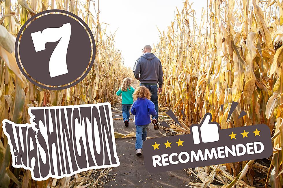 7 of the Best Corn Mazes To Explore in Washington State