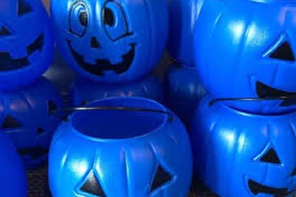 Here’s Why Washingtonians Need To Be Aware of Blue Pumpkins