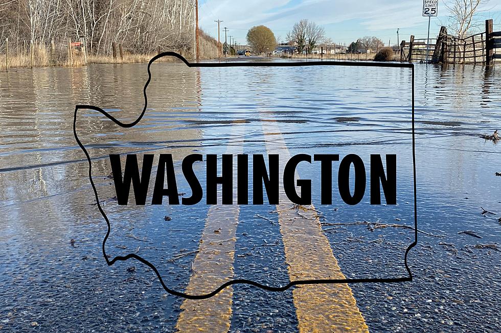 January Rain Showers Pose Flood Risk for Washington State