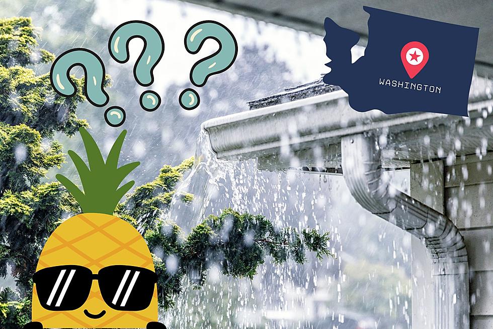 What's a Pineapple Express and Does it Ever Hit Washington State?