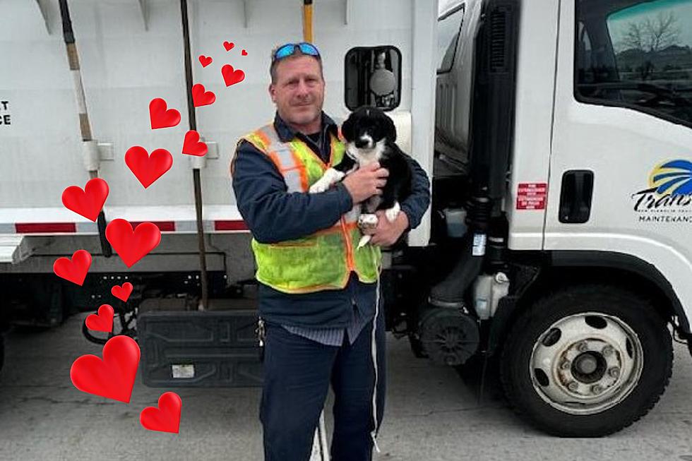Rescued Puppy Becomes "Angel" To Ben Franklin Transit WA Worker