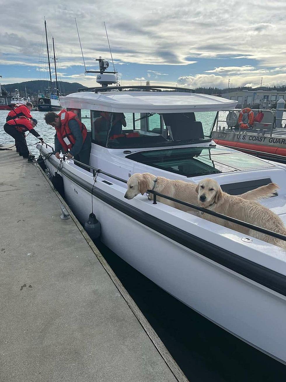 Two Washington State Dogs Saved at Sea by US Coast Guard