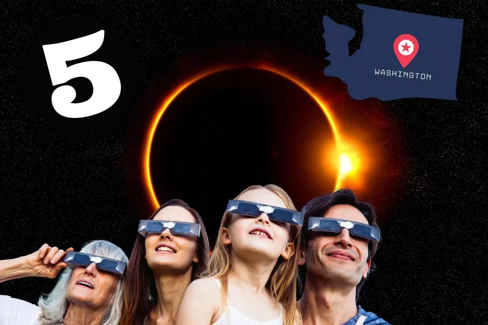 5 Must-Do Tips for Watching a Solar Eclipse in Washington State