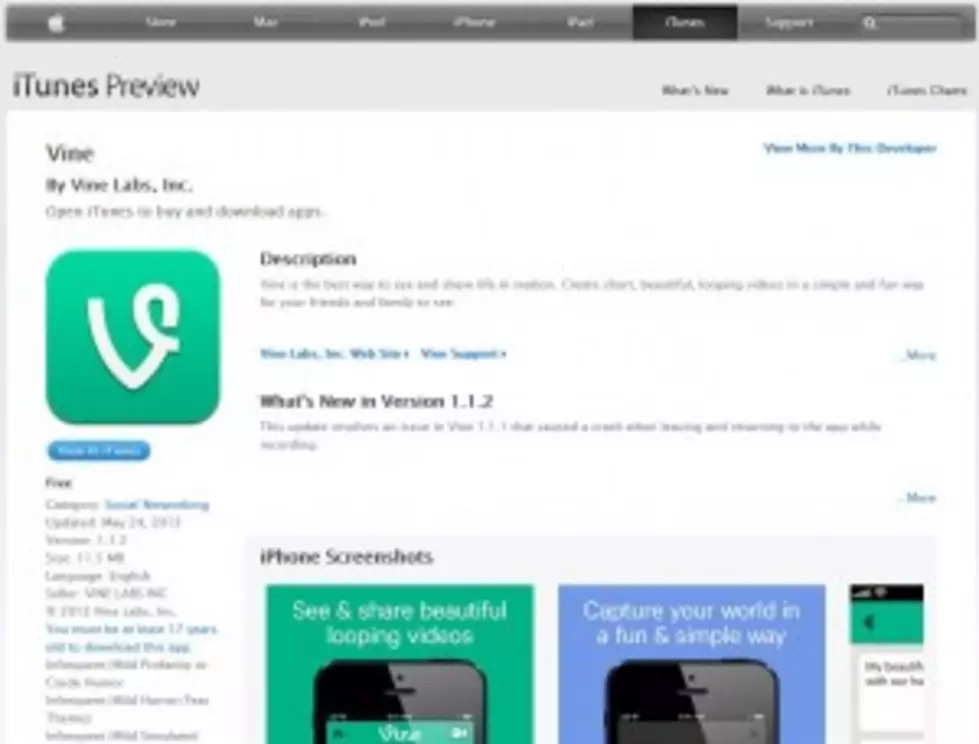 What Is Vine? &#8211; How to Properly Make and Use The Popular New App