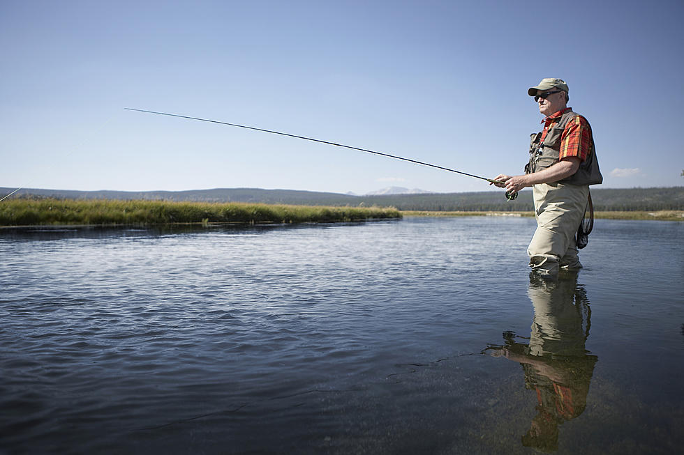 Hot Water Killing Sockeye Salmon In Columbia River