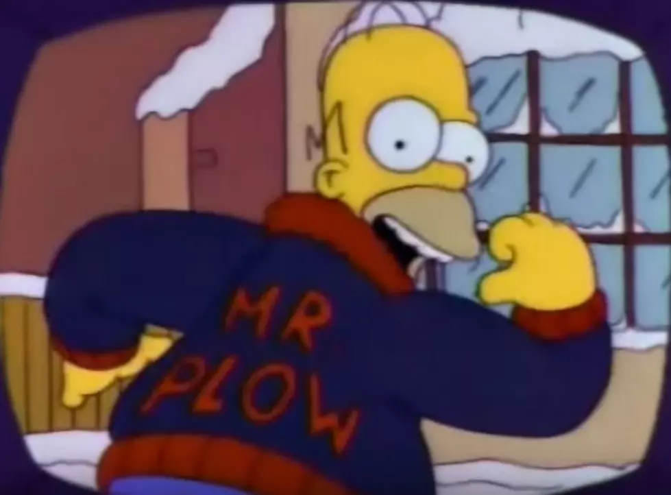 Here’s To You Mr. Plow