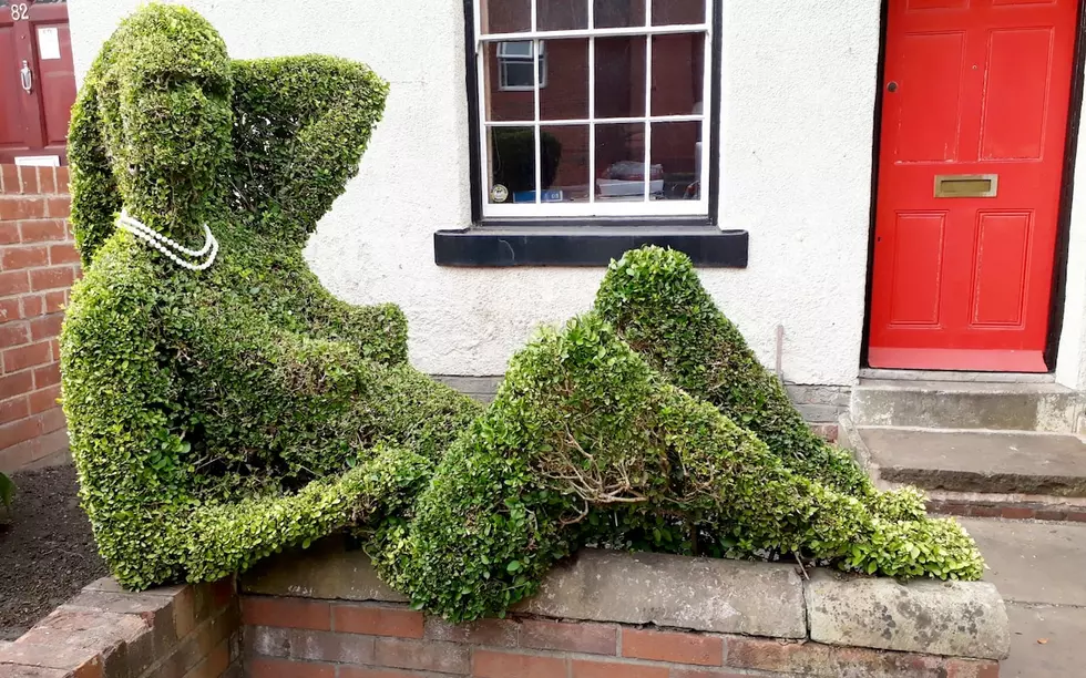 People Won&#8217;t Stop Having Sex With a Man&#8217;s Well Trimmed Bush