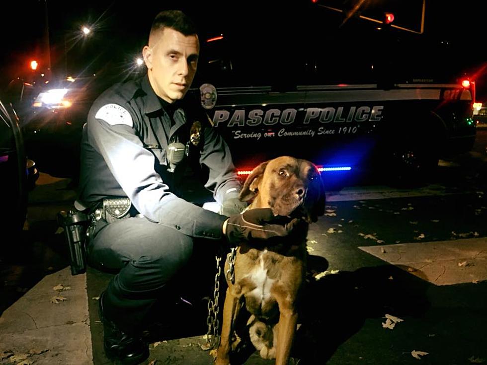 Hot Pasco Cop Drives the Locals Wild