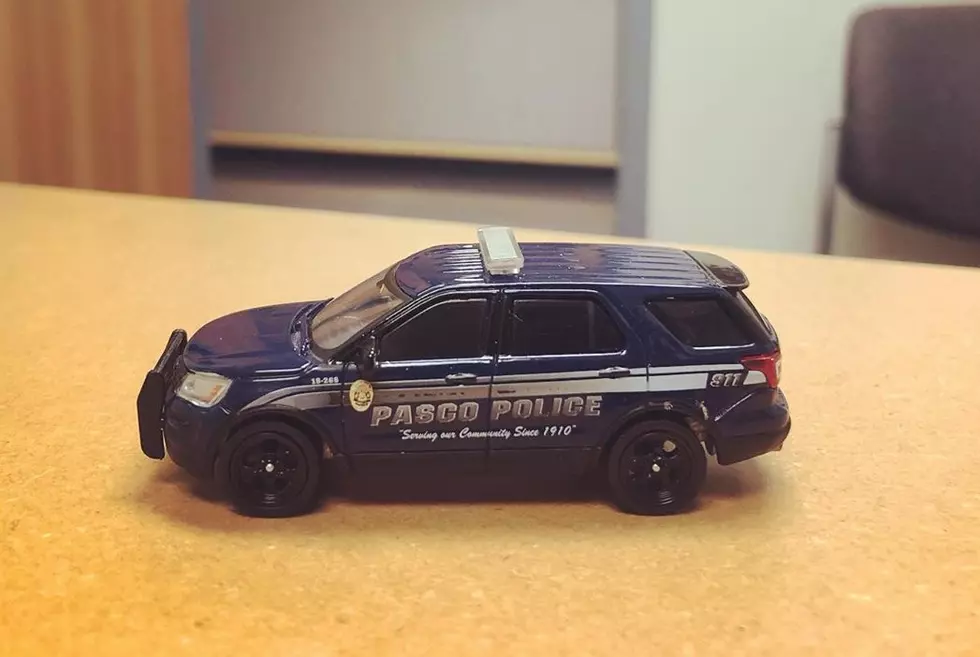 Check Out the New Highly Detailed Mini Pasco PD Car