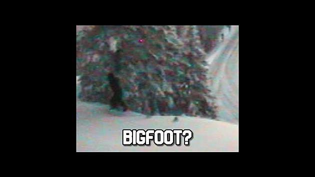 Webcam Bigfoot Debunked!